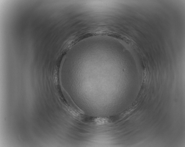 X0000066990762200604072123