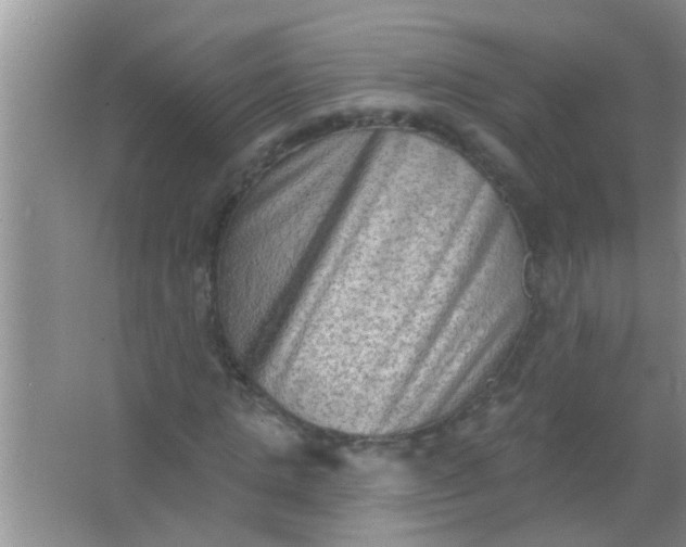 X0000066990821200604072120