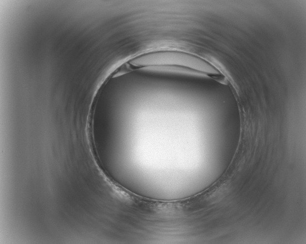 X0000066990901200604072120