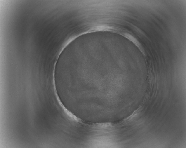 X0000066991055200604072118