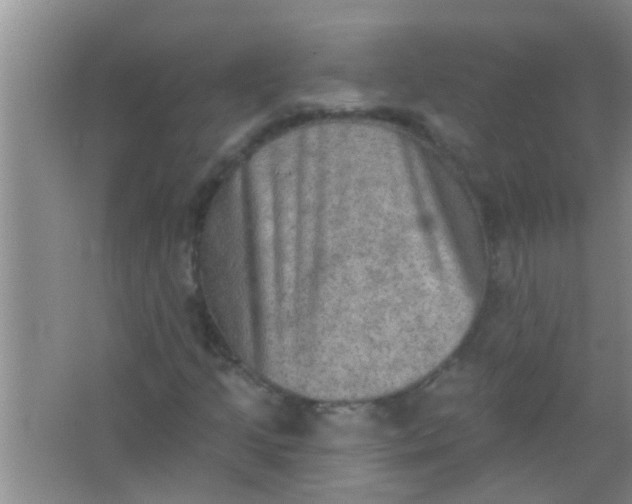 X0000066991205200604072114