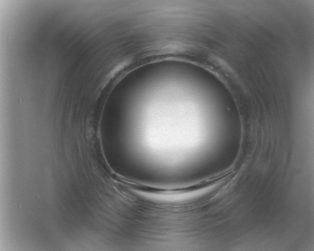 X0000066991210200604072114