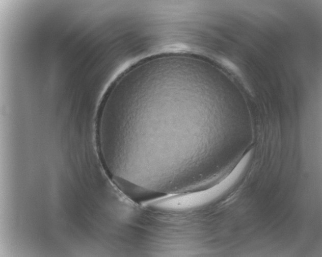 X0000066991326200604072113