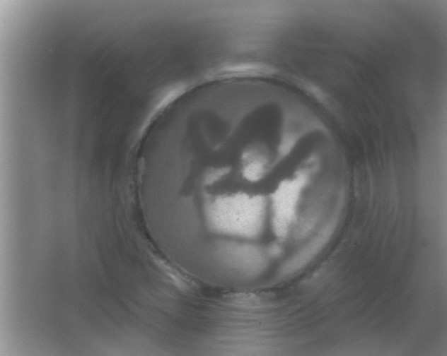X0000066991405200604072111