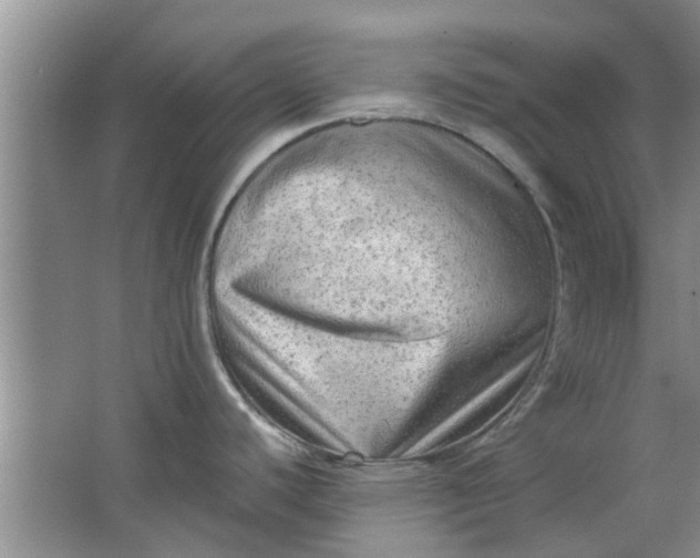 X0000066991440200604072111