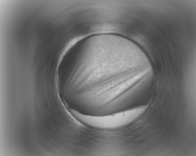 X0000066991472200604072110