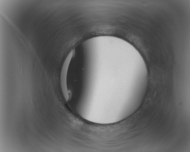 X0000066990017200604142244