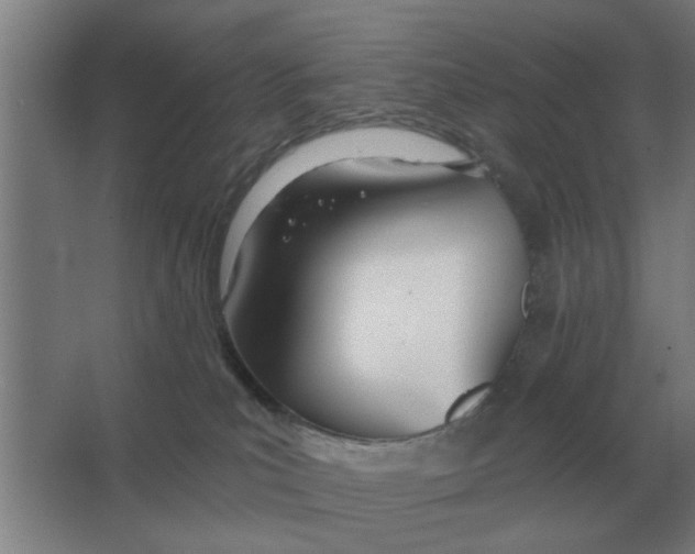 X0000066990039200604142244
