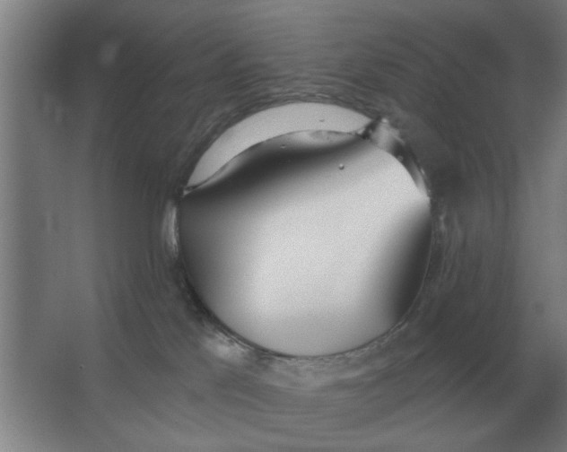 X0000066990041200604142244