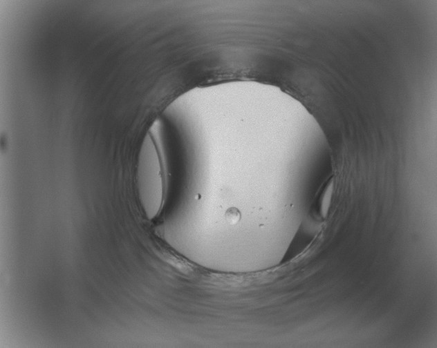 X0000066990045200604142244