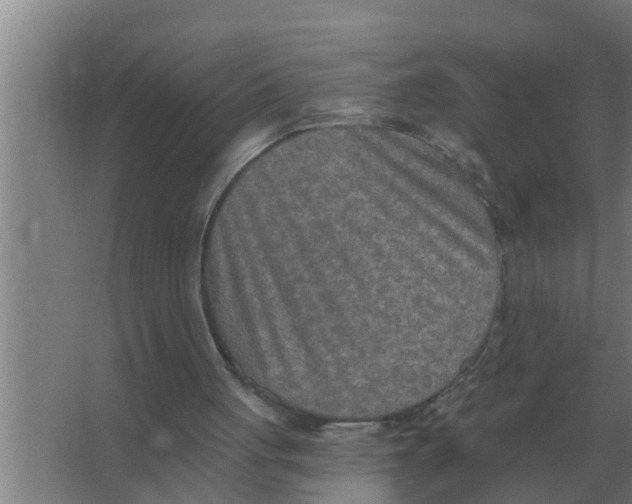 X0000066990051200604142243