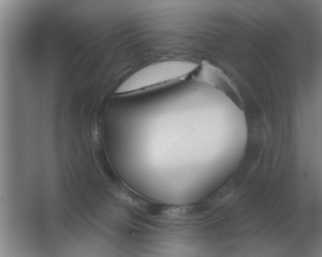 X0000066990084200604142243