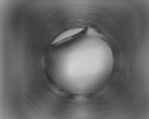 X0000066990088200604142243