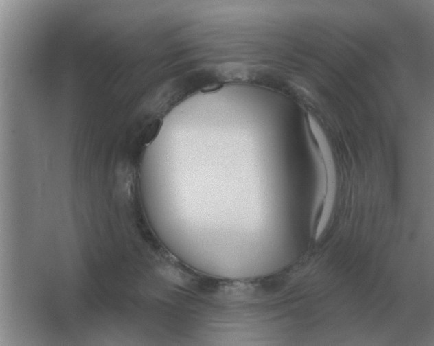 X0000066990125200604142242