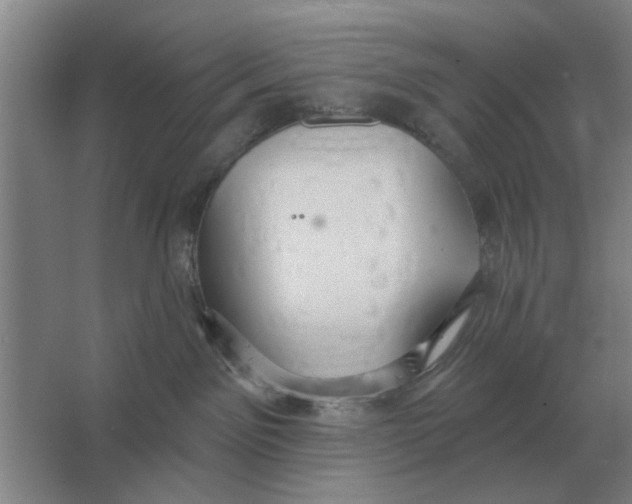 X0000066990141200604142242