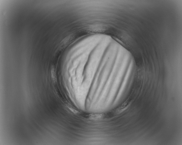 X0000066990143200604142242