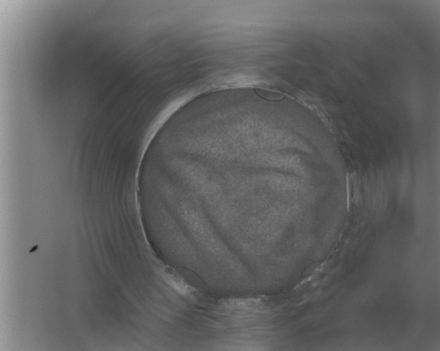 X0000066990147200604142241