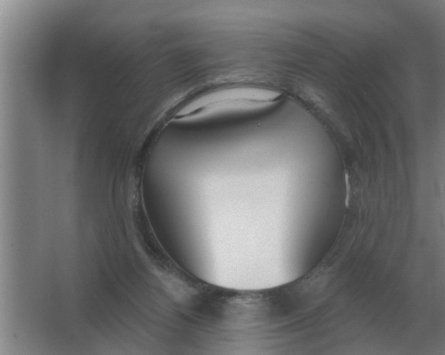 X0000066990164200604142241