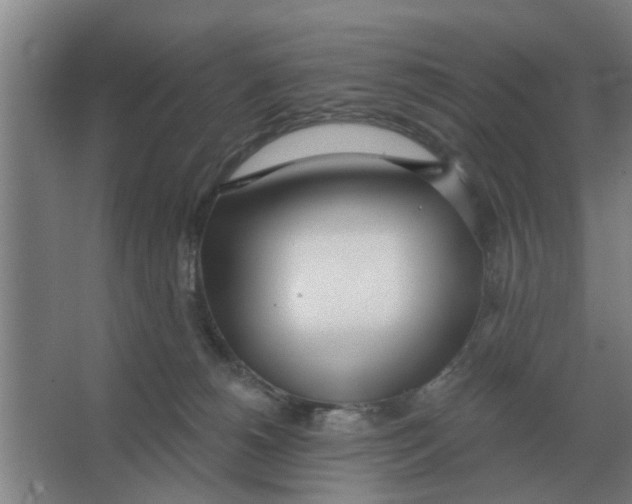 X0000066990180200604142242