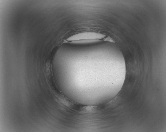 X0000066990184200604142242