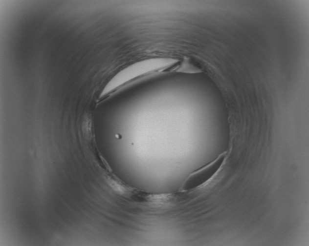 X0000066990192200604142242