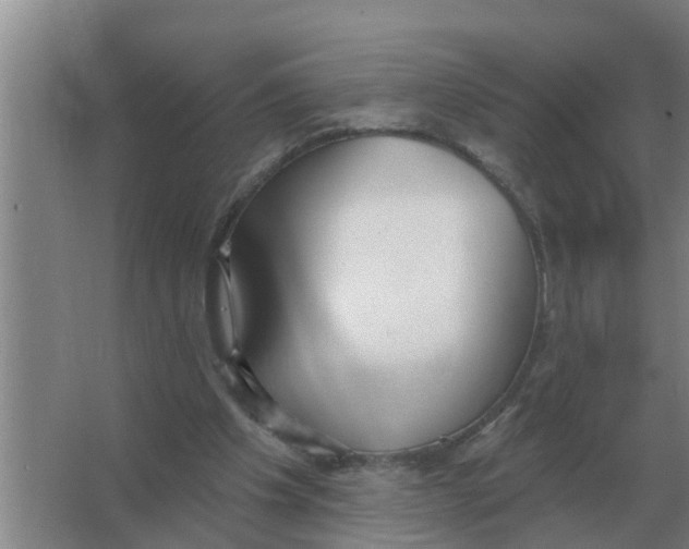 X0000066990201200604142241
