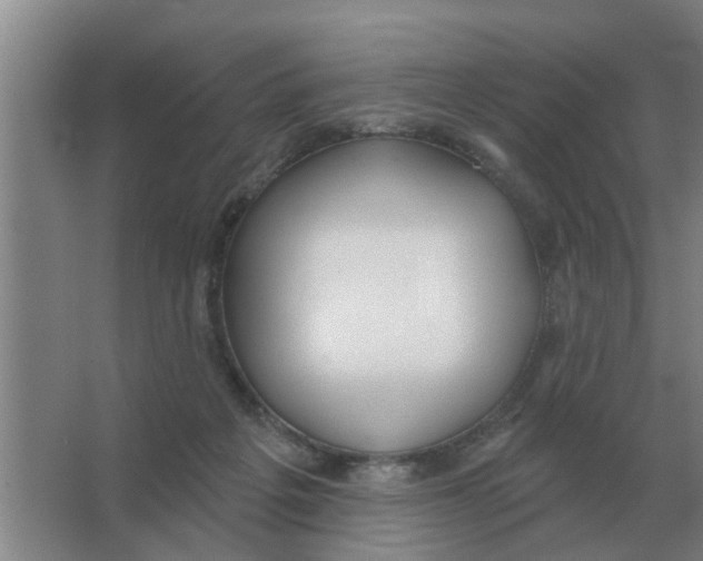 X0000066990217200604142241