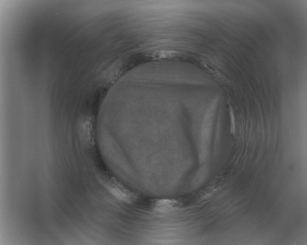 X0000066990222200604142241