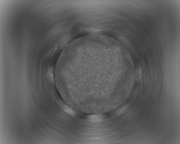 X0000066990238200604142240