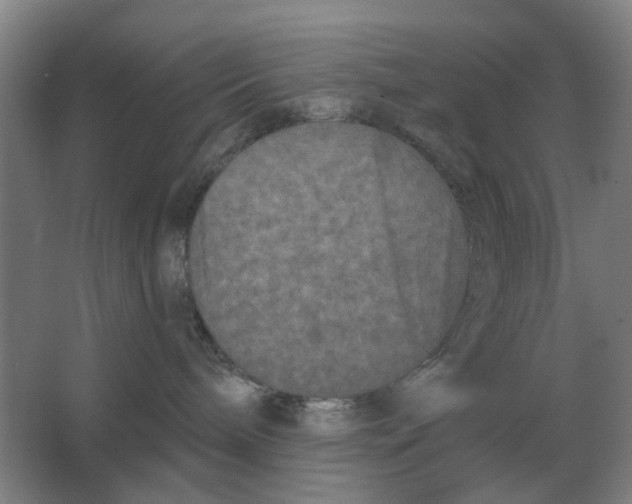X0000066990240200604142240