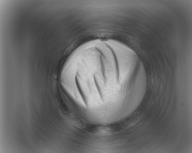 X0000066990263200604142240