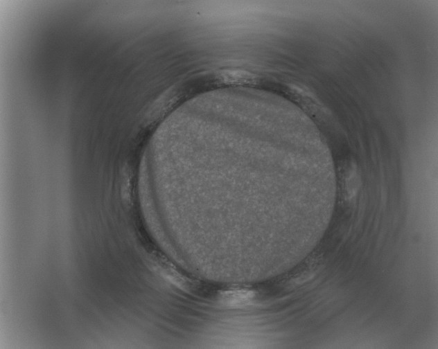 X0000066990266200604142240