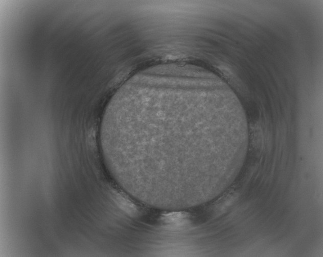 X0000066990269200604142240