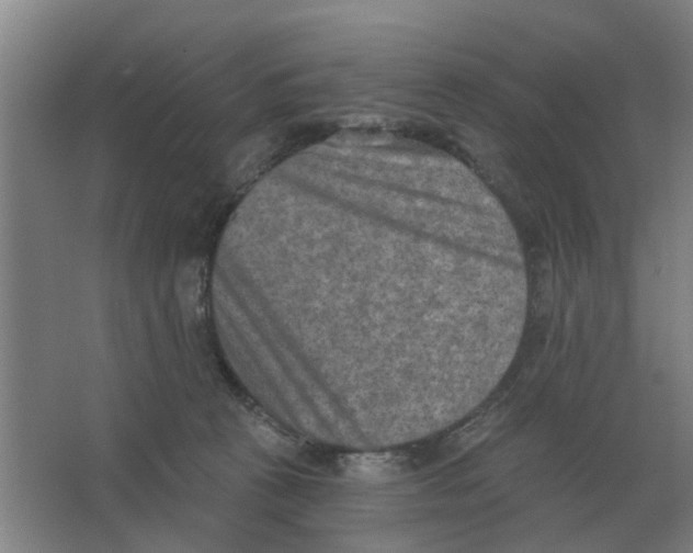 X0000066990273200604142240