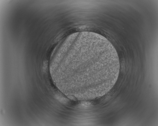 X0000066990278200604142240