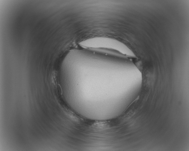 X0000066990280200604142240