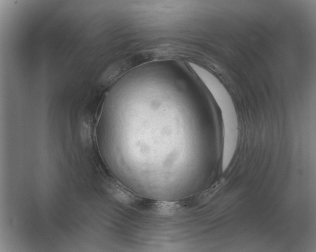 X0000066990333200604142239