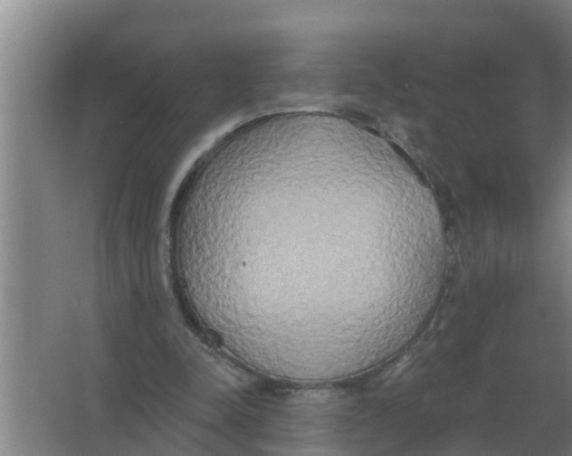 X0000066990342200604142238