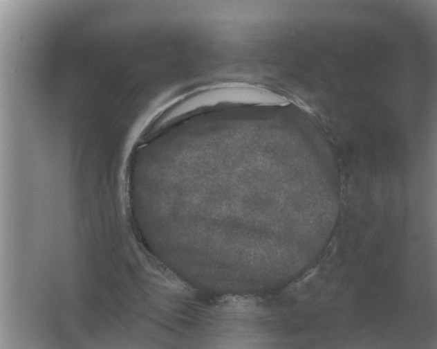 X0000066990343200604142238