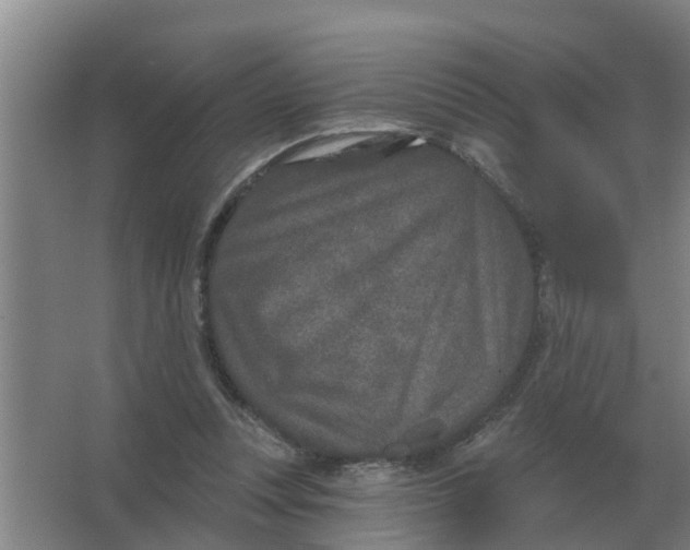 X0000066990351200604142238