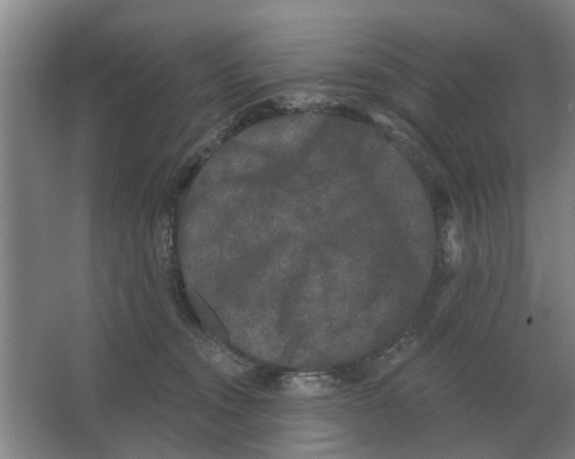 X0000066990372200604142238