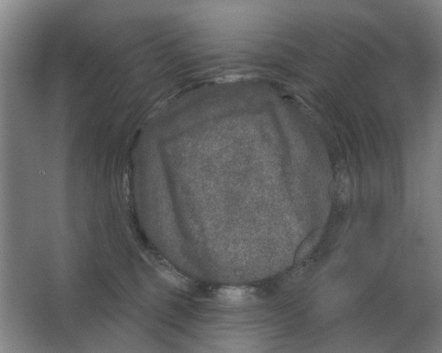 X0000066990375200604142239