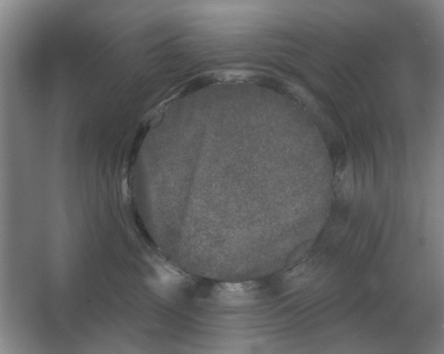 X0000066990381200604142239