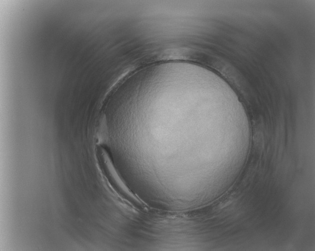 X0000066990386200604142238
