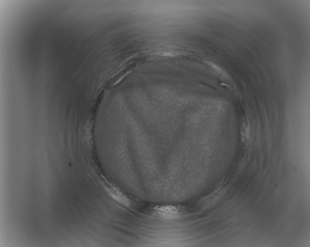 X0000066990409200604142237