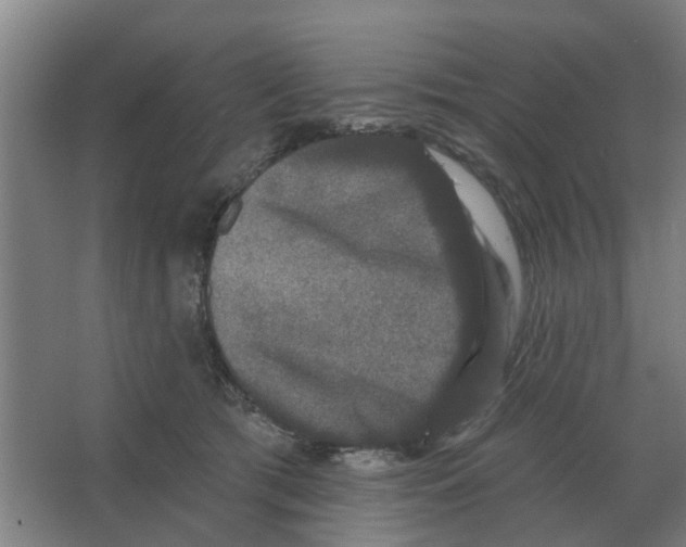X0000066990417200604142237