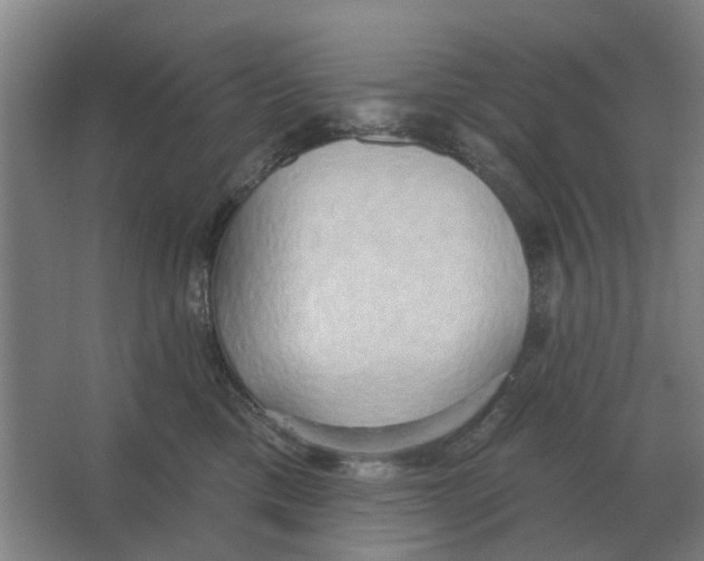 X0000066990425200604142237