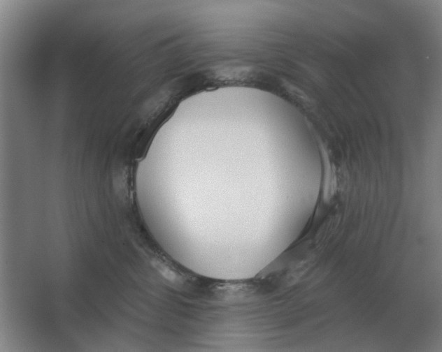 X0000066990428200604142237