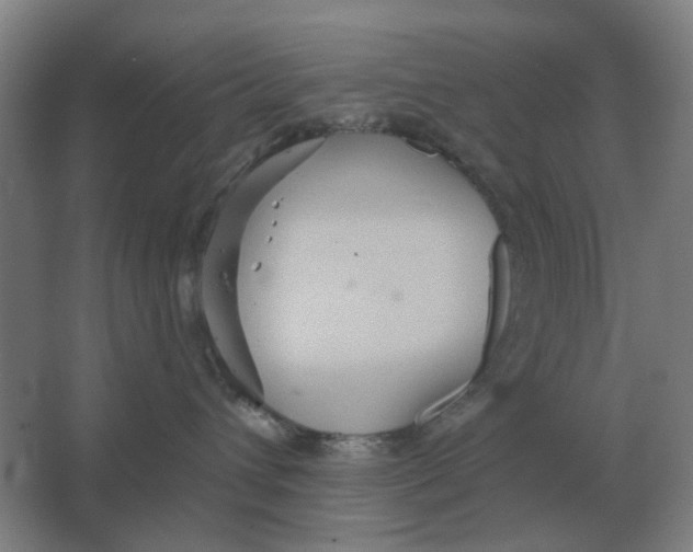 X0000066990432200604142237