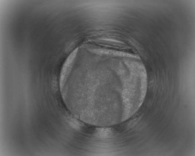 X0000066990469200604142237